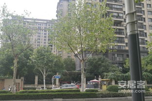 天正通达房产怎么样