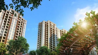 鼎和房产怎么样