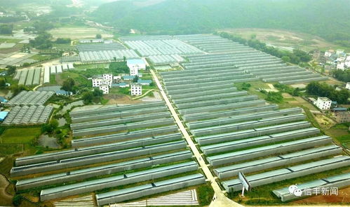 信丰房产行业怎么样