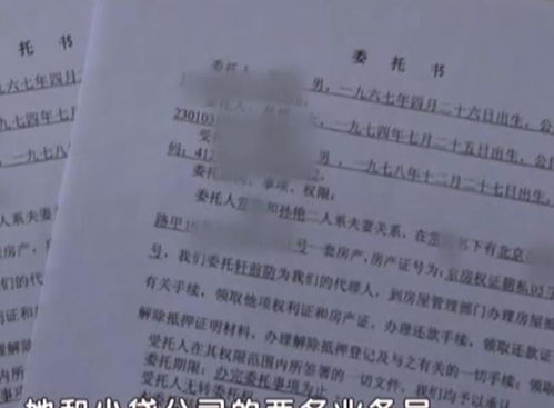 诈骗妻子房产怎么处理