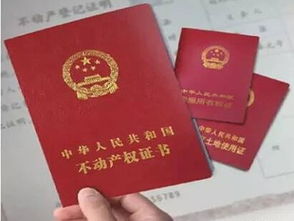 房产产权份额约定怎么写