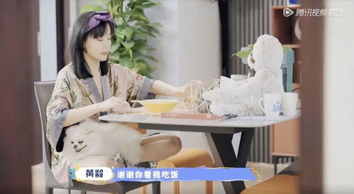 团队房产热门作品怎么写