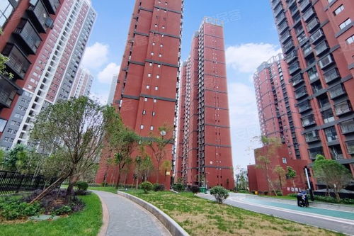 尚居房产怎么干