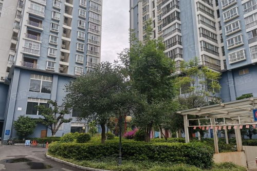 尚居房产怎么干