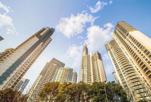 徐海母亲房产怎么样