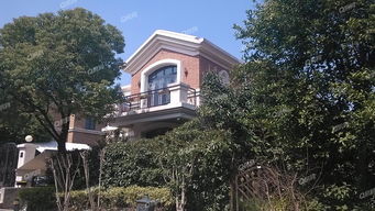 在上海怎么买民房房产