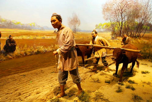 农村房产推荐理由怎么写