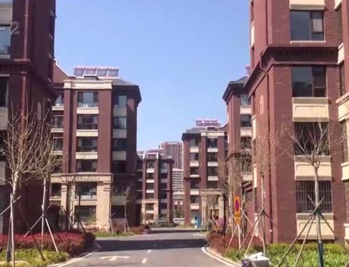 街道房产怎么分配好的