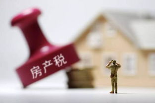 怎么查房产税退税