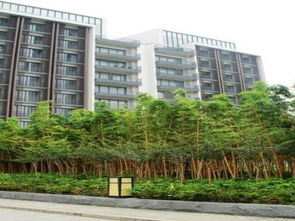 息县信达房产怎么样