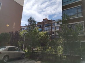 拉萨投资房产怎么样