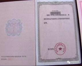 怎么查出假房产证