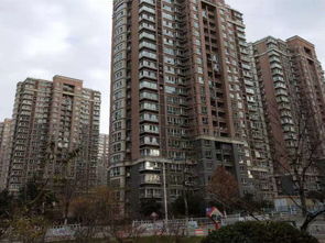 泰安齐鲁房产怎么样