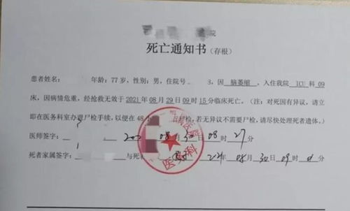 房产 死亡证明怎么开