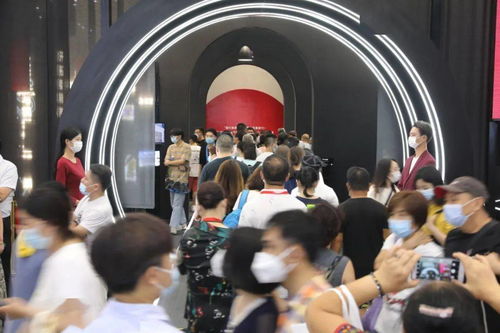 双国籍国内房产怎么处理