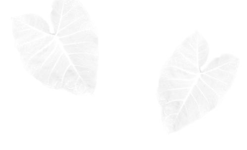 简历房产销售怎么写好