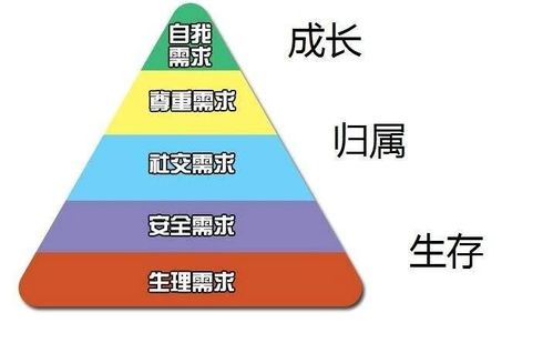 房产转化团队分成怎么算
