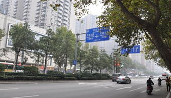 房产楼盘学区现房怎么选