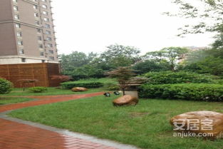 海阳芒果房产怎么样