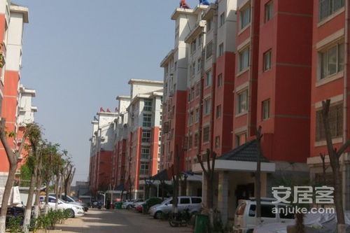 商河金秋房产怎么样