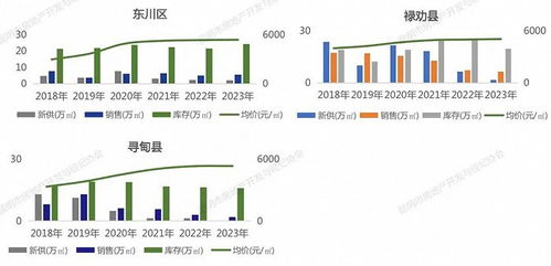 央企抄底房产怎么处理