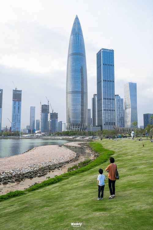 深圳千万房产怎么买的