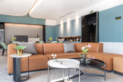 房产公寓直播怎么做