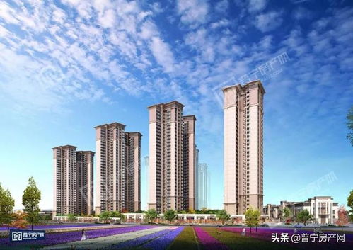 普宁佳丽房产怎么样