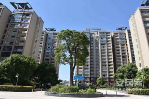 长兴中学房产怎么样