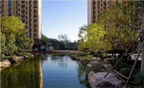 临夏择邻房产怎么样 临夏择邻房产怎么样