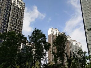 东汐房产怎么样 东汐房产怎么样