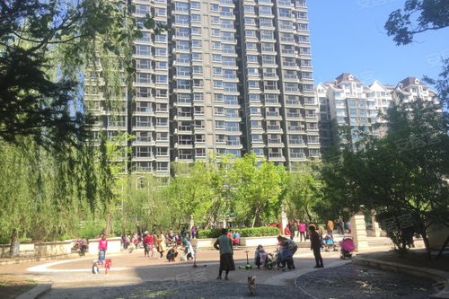 东汐房产怎么样 东汐房产怎么样