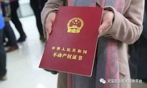 房产证上怎么盖房