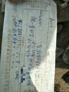 房产票据掉了怎么办