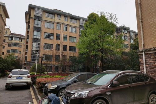 怎么联系岳阳房产中介