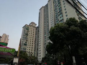 淄博张店东泰房产怎么