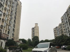 金丰房产怎么样