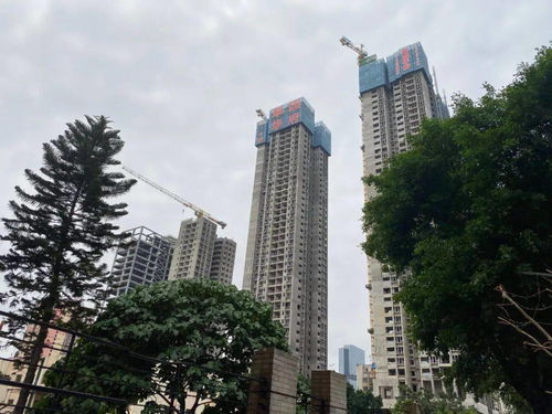 房产现场实拍怎么拍 房产现场实拍怎么拍