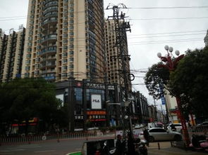 新蔡伟业房产怎么样