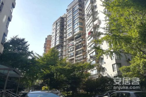 池州银杏房产怎么样