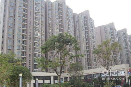 信丰大地房产怎么样