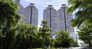 怎么查越南的房产价格