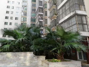 德盛房产怎么样