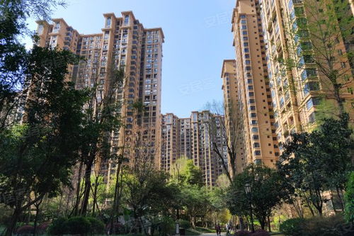 乐山领地房产怎么样