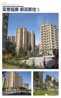 潍坊叮咚房产怎么样