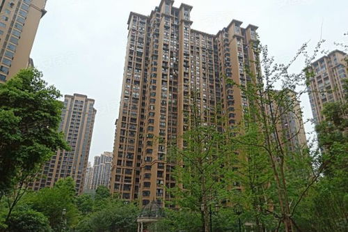 乐山领地房产怎么样