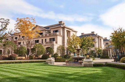 佰星房产怎么样