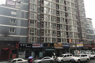 惠州简爱房产怎么样