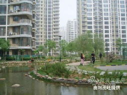 房产销售怎么介绍小区