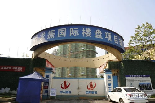 大振房产运营怎么样